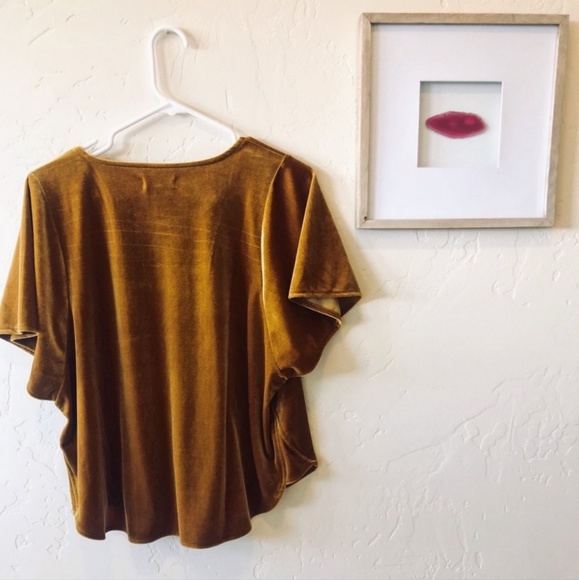 Madewell | Velvet Butterfly Top - Picture 3 of 4